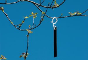 Experimental mating disruption pheromone dispenser hanging in apple orchard