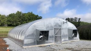 tomato breeding greenhouse