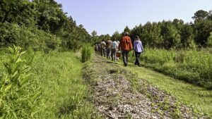 NC State Extension agroforestry farm tour Durham County forest farming alley cropping